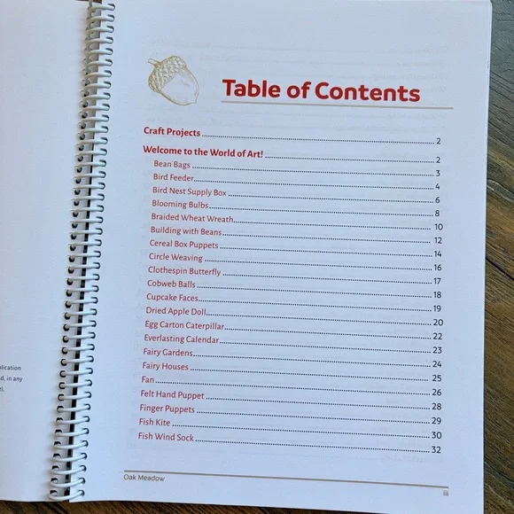 Oak Meadow K-3 Crafts Book Homeschool Curriculum - Picture 2 of 8